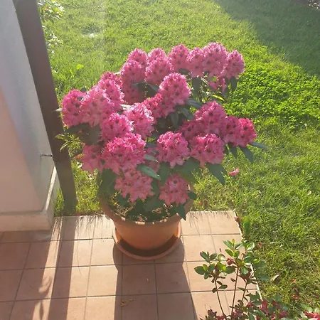 Da Riki Vakantiehuis Peschiera del Garda
